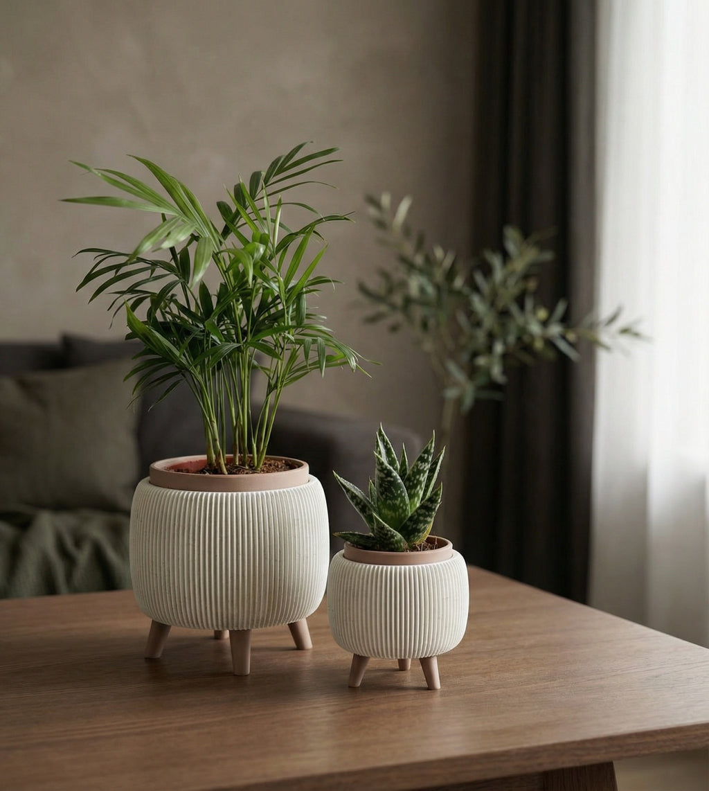Plantenpot Thalor